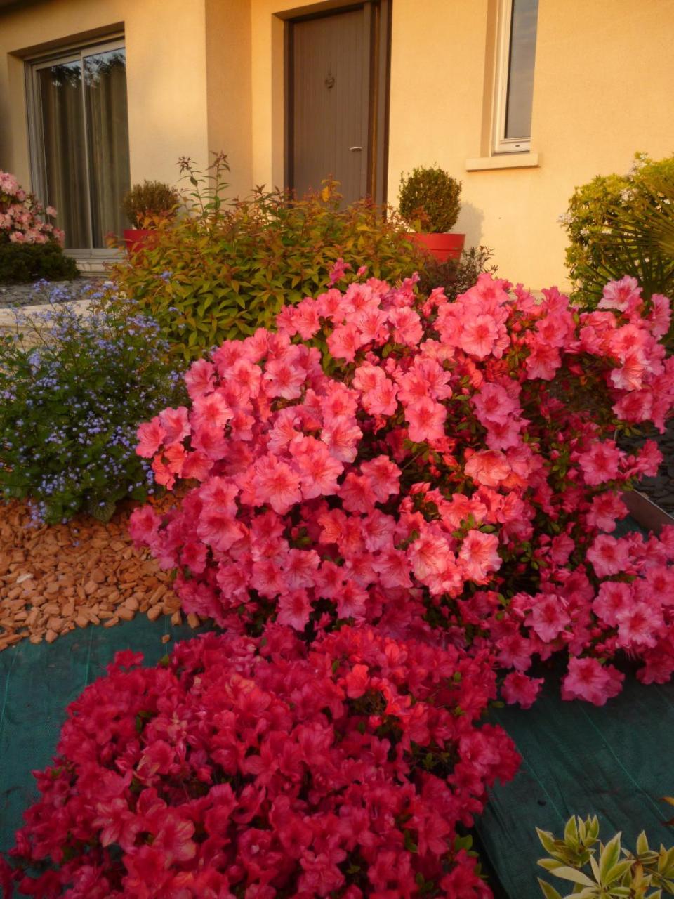 Chez Bernard Et Nicole Bed & Breakfast Betton Екстериор снимка
